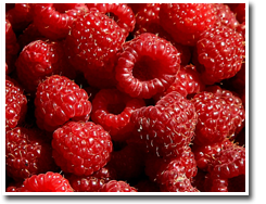 Raspberry Ketone